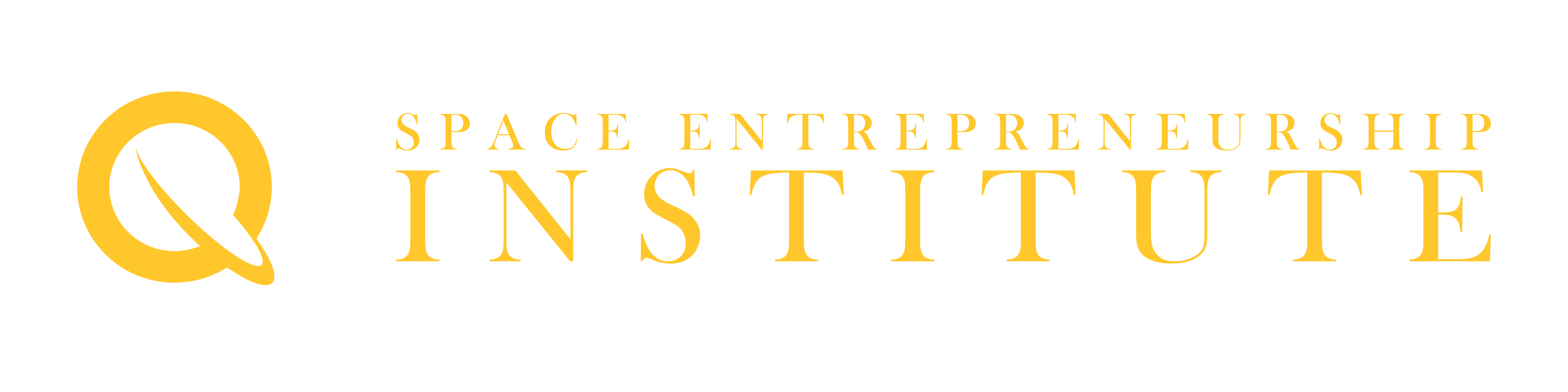 Space Entrepreneurship Institute